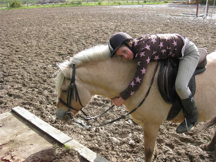 Fjordhest Søs - NYT <3 24/11 billede 16