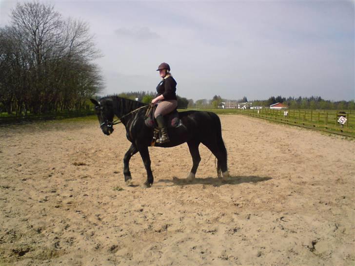 Oldenborg Milan billede 15