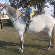 Anden særlig race Feline  R.I.P  <3 