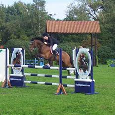 Tysk Sportspony Chemin De Royal 