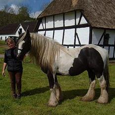 Tinker Lord Wallentin  * DØD *