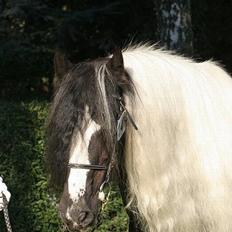 Tinker Lord Wallentin  * DØD *