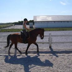 Anden særlig race Hannibal <3