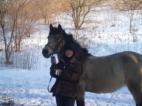 Connemara Perle (solgt) <33 - NYT: Perle og mig i sneen :D Fint ik? billede 7