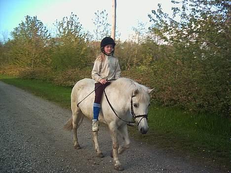 Anden særlig race Lotte *Død* - her rider jeg rundturen uden saddel AVAV min numse billede 20