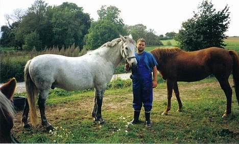 Anden særlig race Beauty Boy - Her står Ronni (min kæreste) sammen med Beauty! billede 15