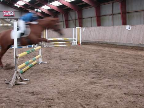 Dansk Varmblod Isabella † - Isabella og jeg i en 80-klasse (undskyld kvaliteten) d. 21 maj 2005 billede 15