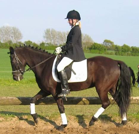 New Forest Roløkke Himalaya SOLGT - Headley og jeg rider LA1b den 21. maj 2005 i SVRK billede 5