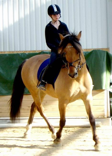 Anden særlig race Bianca  SOLGT ;) - jaeh billede 9