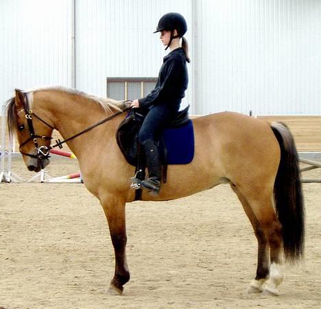 Anden særlig race Bianca  SOLGT ;) - parade billede 11