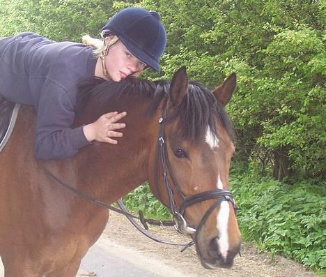 Tysk Sportspony Chemin De Royal  - Elsker den Pony <3 billede 7
