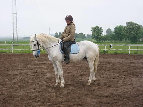 Connemara Shannon (Død) - Øndigt billede 2