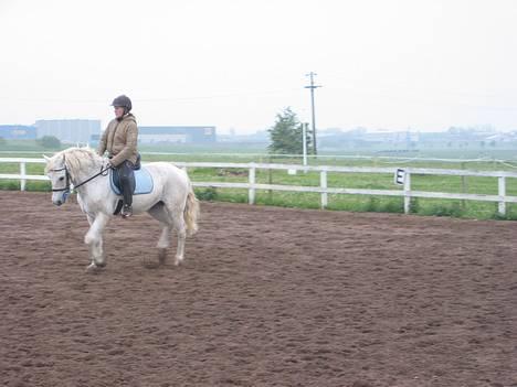 Connemara Shannon (Død) - Flot pic. billede 3