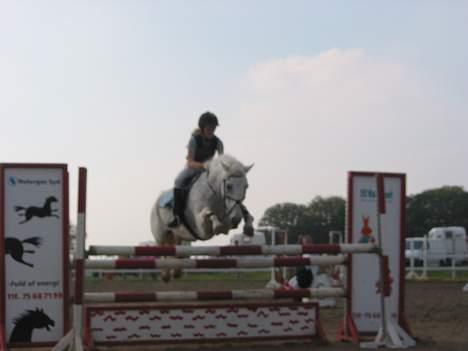 Connemara Shannon (Død) - Hehe grinern nok billede 4