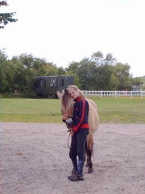 Fjordhest <"33Prins<"33 - Mig og Bette nøv ( ;  billede 11