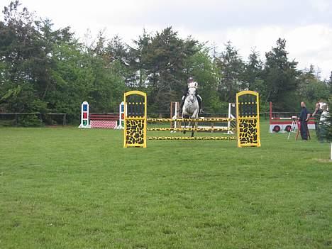 Connemara Shannon (Død) - spring... juhuuu billede 8