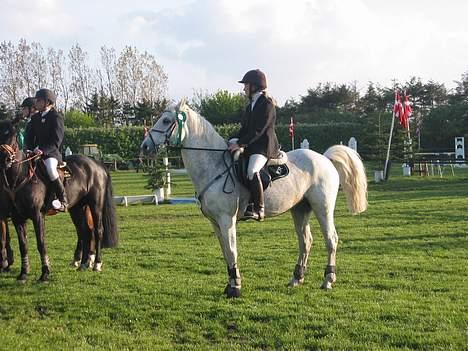 Connemara Shannon (Død) - en 7 plads mod alle de der enorm gode ryttere som ogaå rider landstævner... ihh billede 9