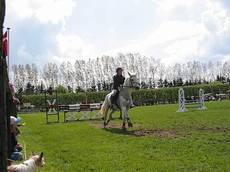 Connemara Shannon (Død) - Hehe billede 10