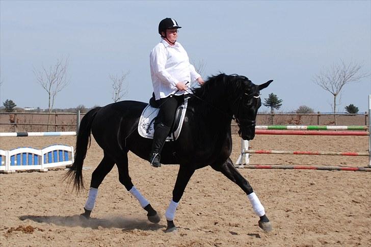 Dansk Varmblod Miss Melanie - Nr. 2 Miss M og jeg til undervisning i april 2010 billede 2