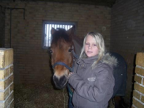 Dartmoor Molly Malone billede 15