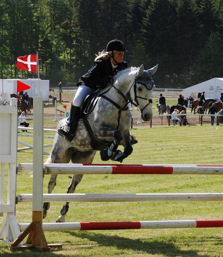 Anden særlig race Kalhaves Deshabell -Solgt - Morsø. Tror det er LA.  billede 16