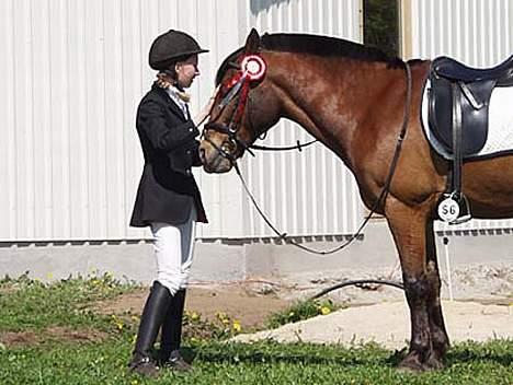 DSP Sir Oliver billede 17