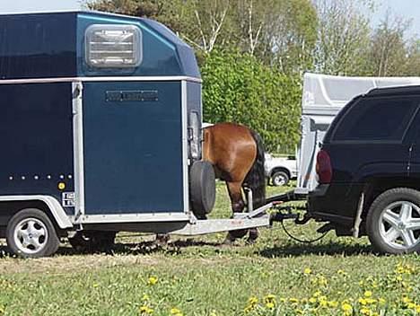 DSP Sir Oliver billede 18