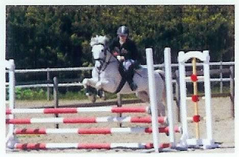 Anden særlig race Frisser (Might'N Magic) - øresundskysten LA metode A billede 13