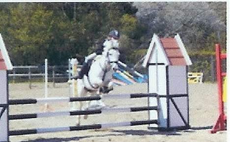 Anden særlig race Frisser (Might'N Magic) - mig og frisser i LA i øresundskysten. metode A.. så det gik hurtigt billede 14