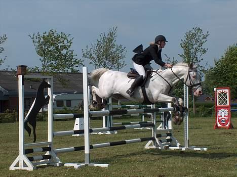 Knabstrupper Zeus R.I.P - min søster til distriks mester skab.. billede 11