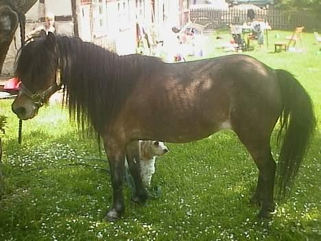 Anden særlig race Marie † 2005 † - Så det store make-over dag, her før vi gik i gang :P billede 9