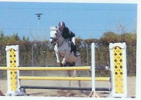 Anden særlig race Frisser (Might'N Magic) - Sidste spring i MB.. Det blev en lidt dårlig afstand, derfor det ser lidt sjovt ud... :-) billede 15