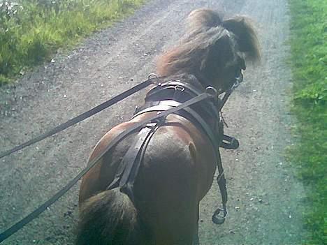 Miniature trold billede 11