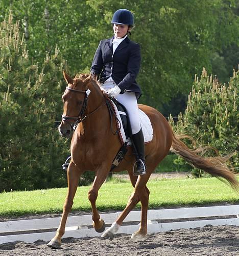 DSP Coelenhage'S Harmonie <3 - NSR 3/6-06 La1 foto: Louise billede 18