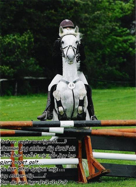 Connemara Shannon (Død) - Var ved at falde af her da vi var kommet over på den anden side han ser bar sød ud her ørene er jo fremme hihi... cute han redede mig virklig den dag,... billede 17