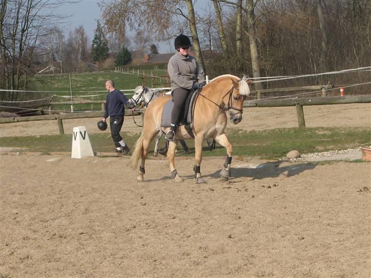 Haflinger Ines (Tidl. pony) - Lena Elsborg var så flink at tage et par billeder af mig og Ines sammen.. billede 5