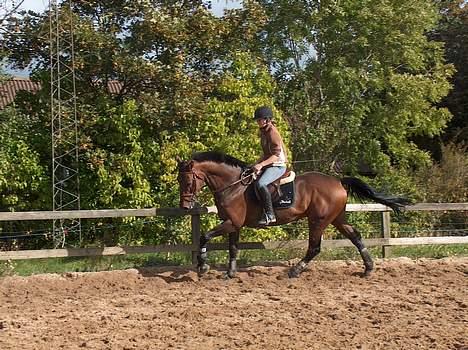 Holstener A. K´s Lasall 36 billede 2