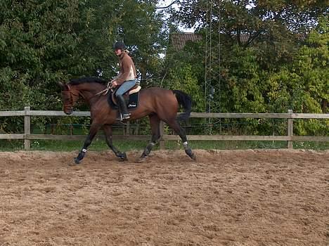 Holstener A. K´s Lasall 36 billede 3