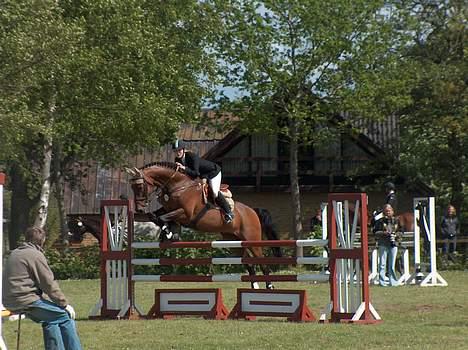 Holstener A. K´s Lasall 36 billede 4