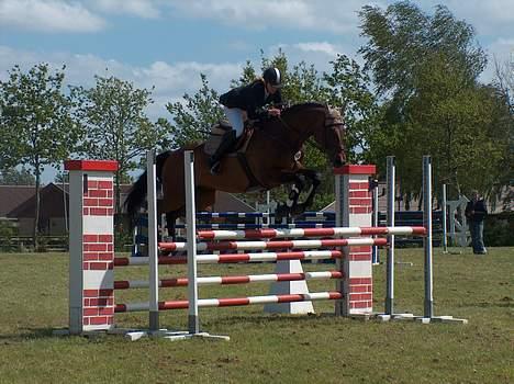 Holstener A. K´s Lasall 36 billede 5