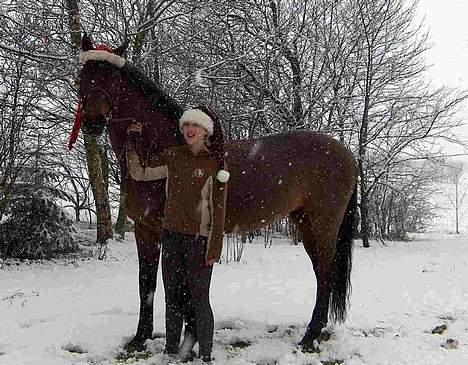 Holstener A. K´s Lasall 36 billede 7