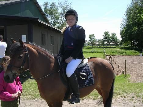 Dartmoor Molly Malone billede 16