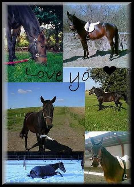 Anden særlig race Destiny´s child billede 9