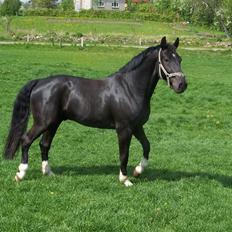 Oldenborg Dialekt Alstrup