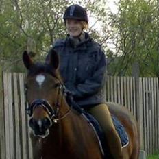 Anden særlig race Ally