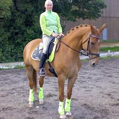 Anden særlig race Lady Like A Star (solgt)