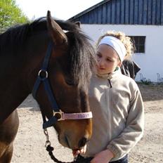 DSP Cheval - "SOLGT" [tidl. Pony]