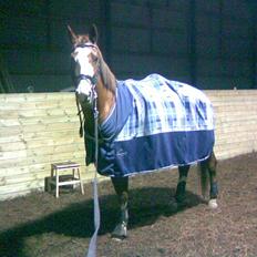 Frederiksborg Chaplin R.I.P<3