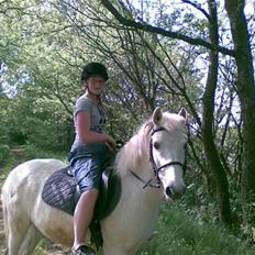 Anden særlig race Sony Boy