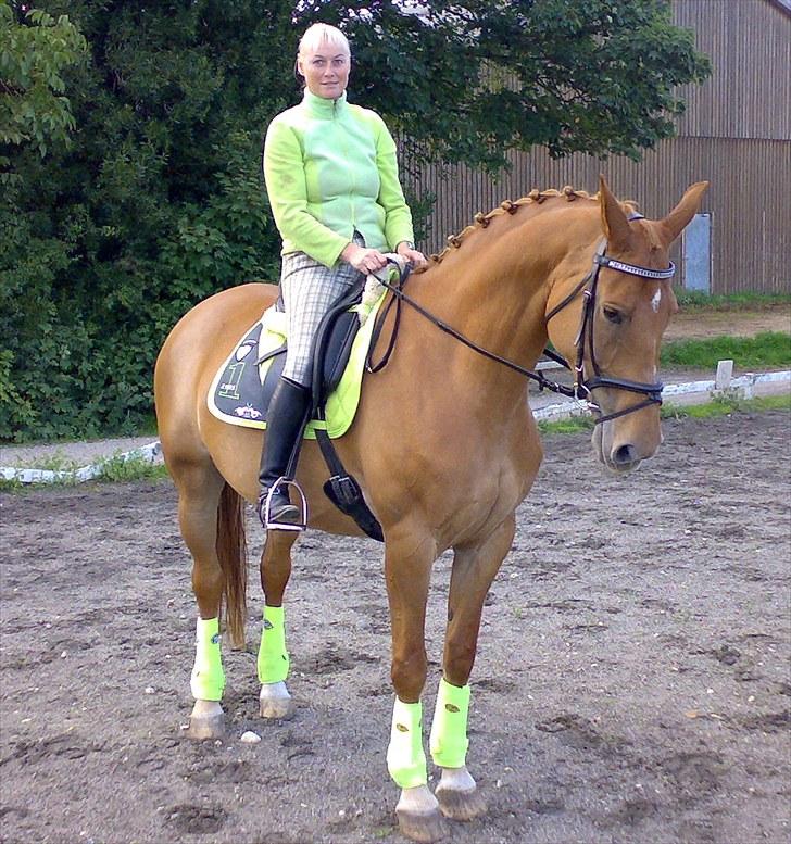 Anden særlig race Lady Like A Star (solgt) - Lady i daglig træning og smuk ser hun jo ud ik!! billede 2